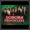 Sonora Provinciana - El Dolor Con el Licor (feat. Ángel Elizondo) - Single